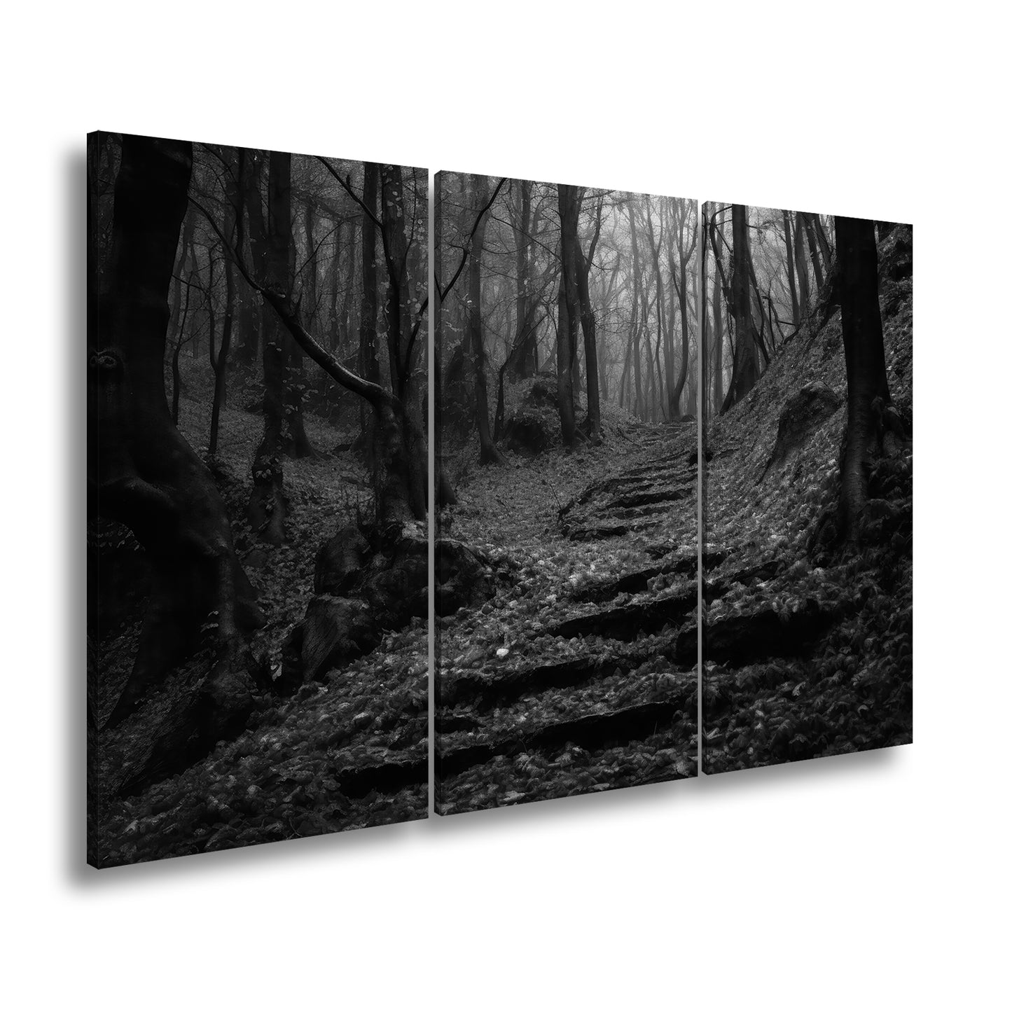 Hauptbild Schwarz & Weiß 3 Teilig