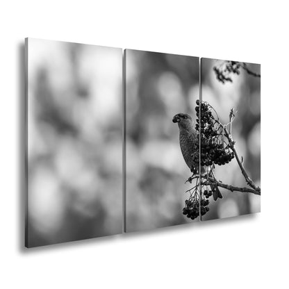 Hauptbild Schwarz & Weiß 3 Teilig