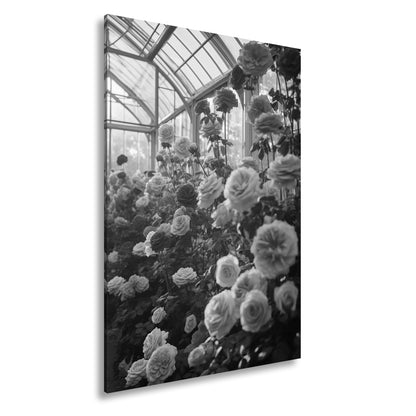 Hauptbild Schwarz & Weiß Standart