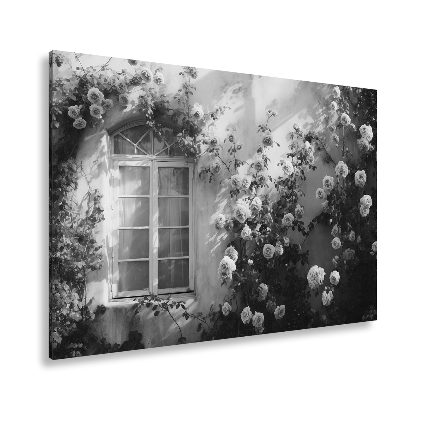 Hauptbild Schwarz & Weiß Standart