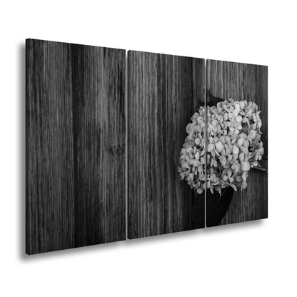 Hauptbild Schwarz & Weiß 3 Teilig