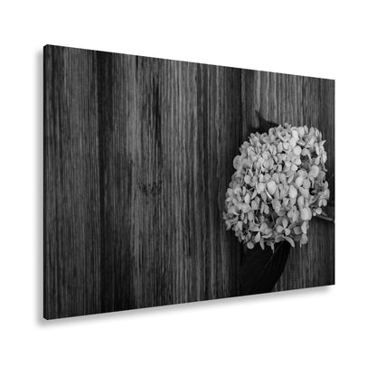 Hauptbild Schwarz & Weiß Standart