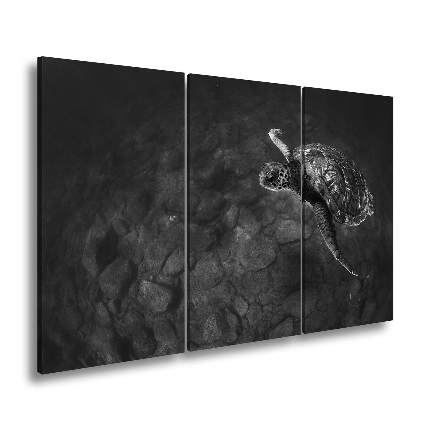 Hauptbild Schwarz & Weiß 3 Teilig