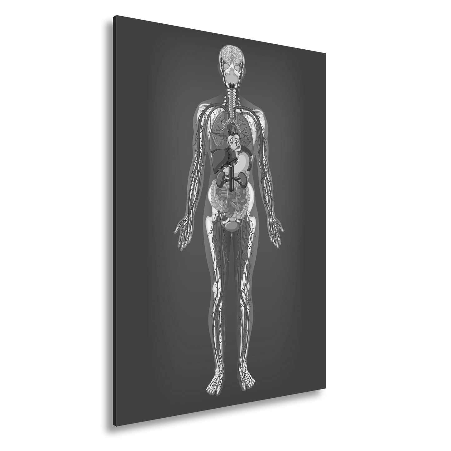 Hauptbild Schwarz & Weiß Standart