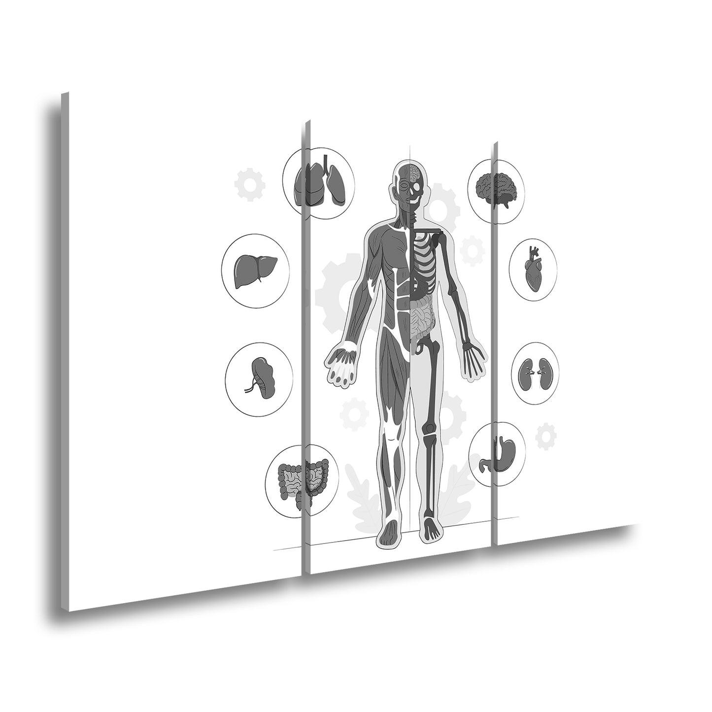 Hauptbild Schwarz & Weiß 3 Teilig