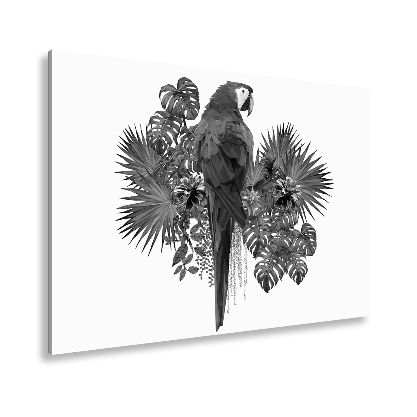 Hauptbild Schwarz & Weiß Standart