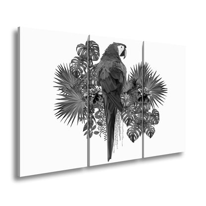 Hauptbild Schwarz & Weiß 3 Teilig