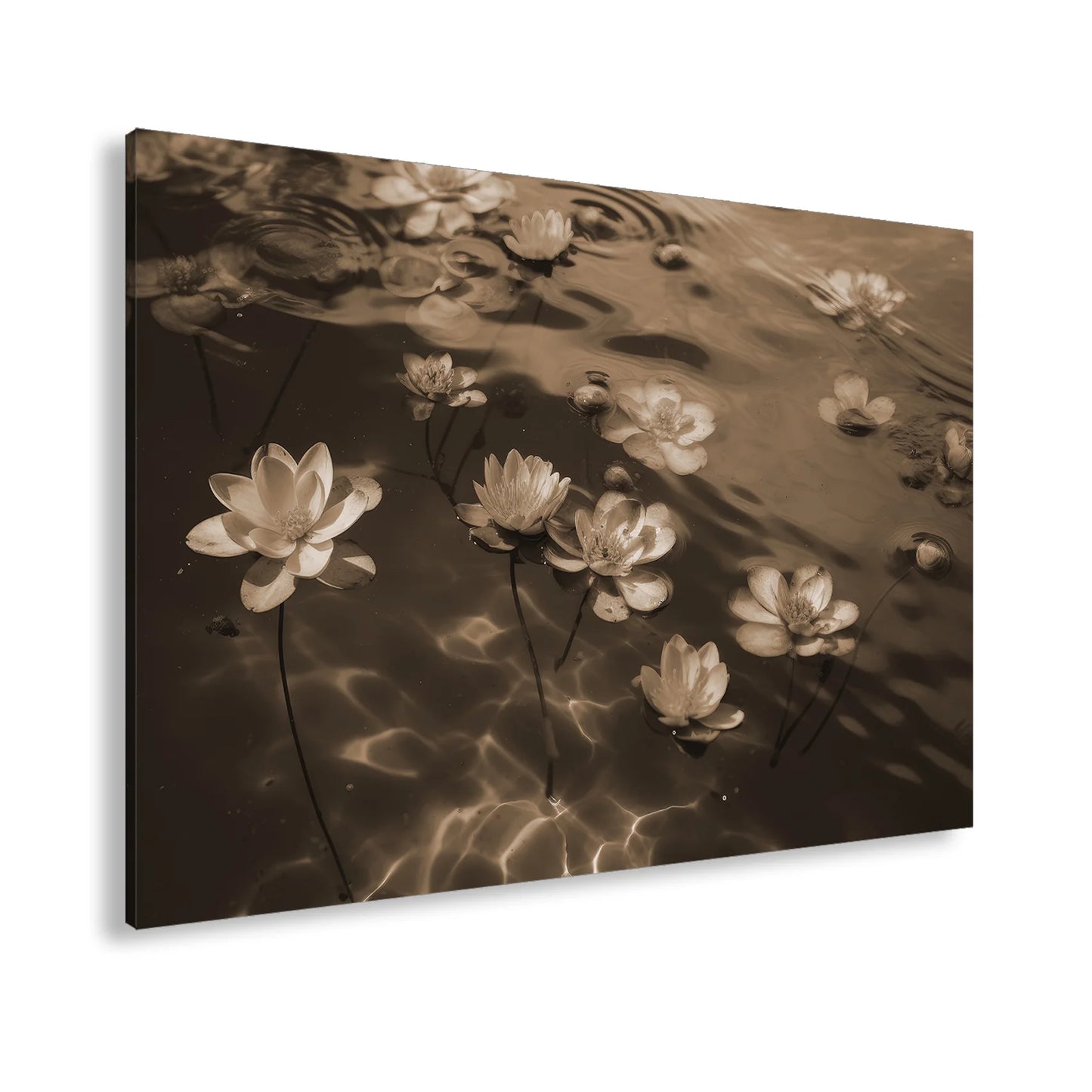 Hauptbild Sepia Standart