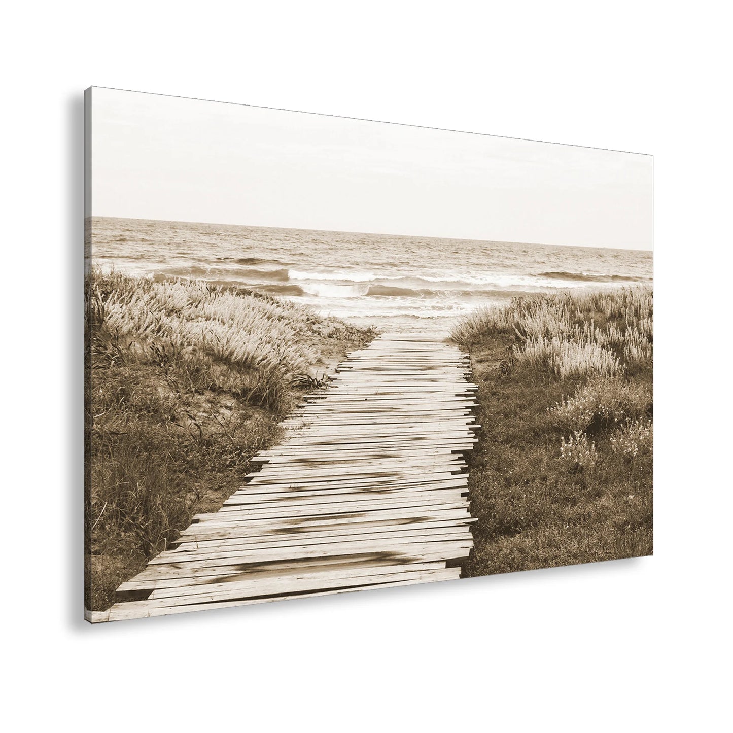 Hauptbild Sepia Standart