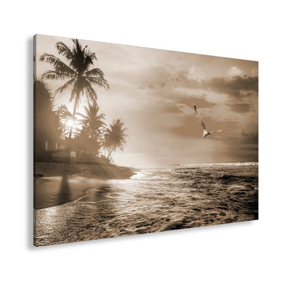Hauptbild Sepia Standart