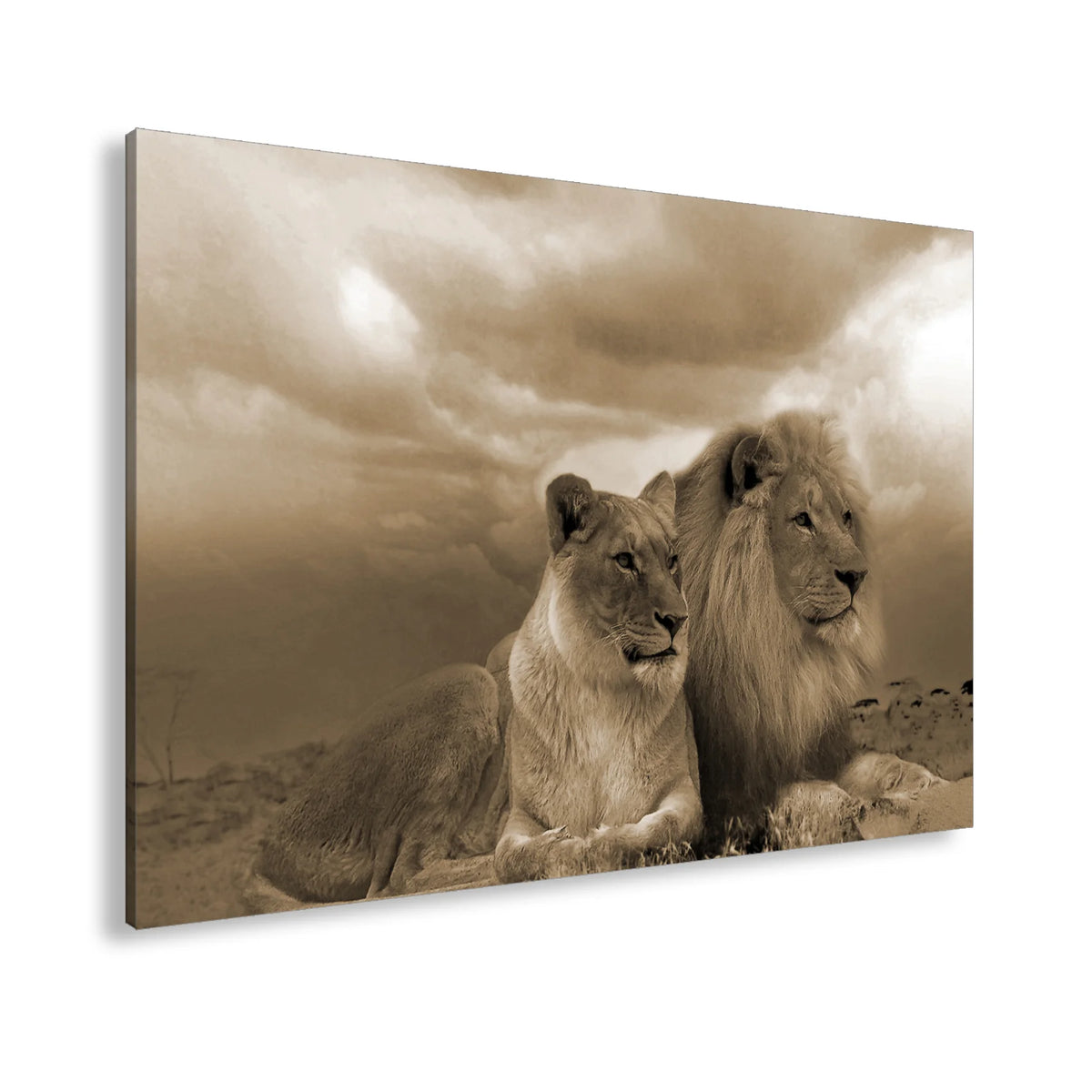 Hauptbild Sepia Standart