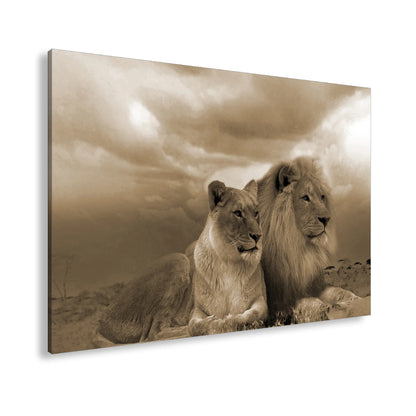 Hauptbild Sepia Standart