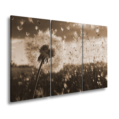 Hauptbild Sepia 3 Teilig