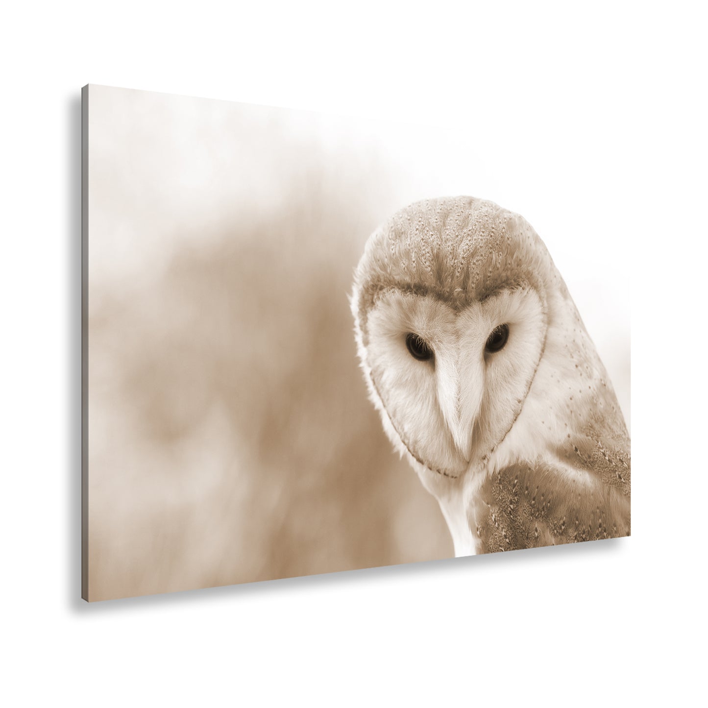 Hauptbild Sepia Standart