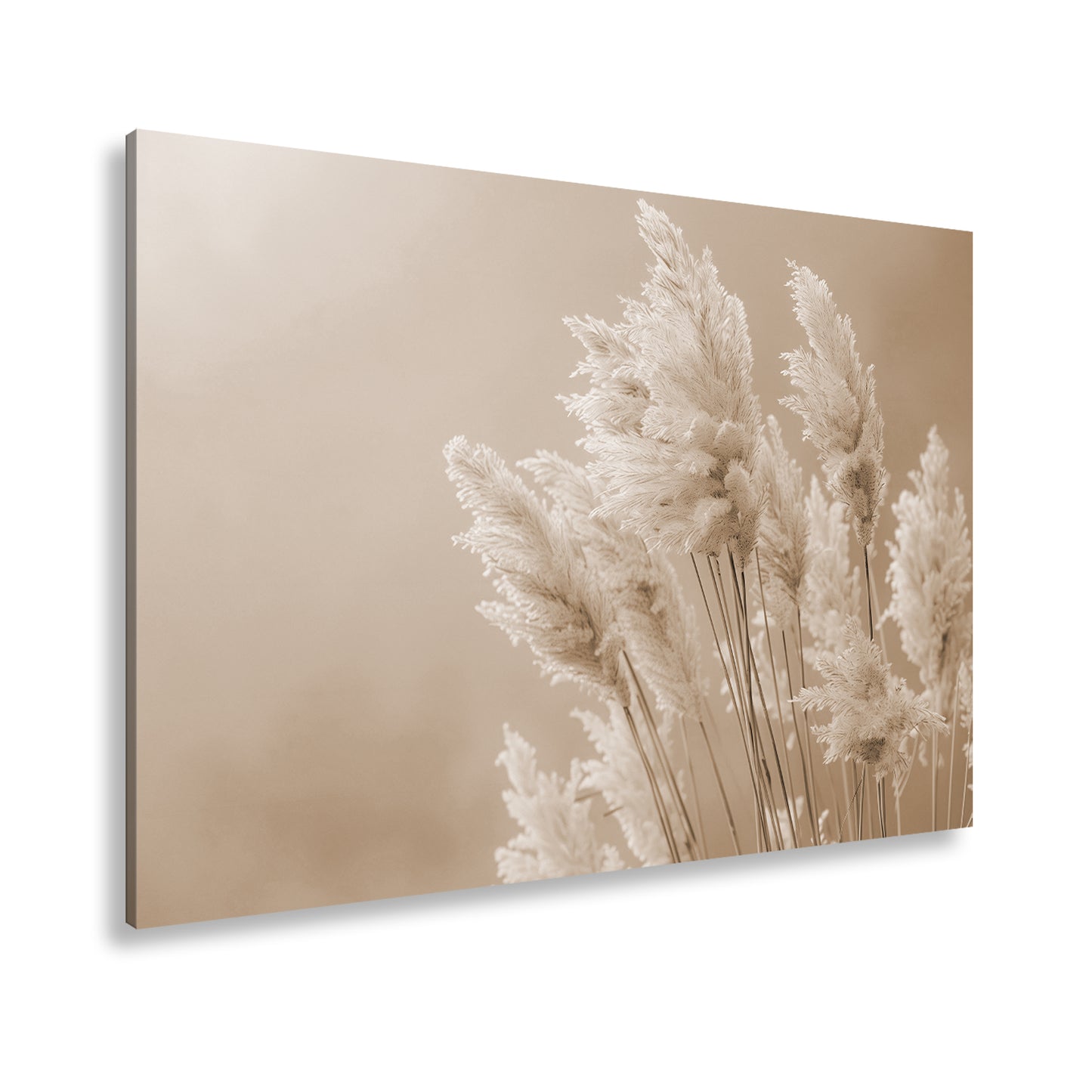 Hauptbild Sepia Standart