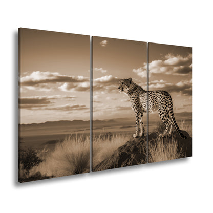 Hauptbild Sepia 3 Teilig