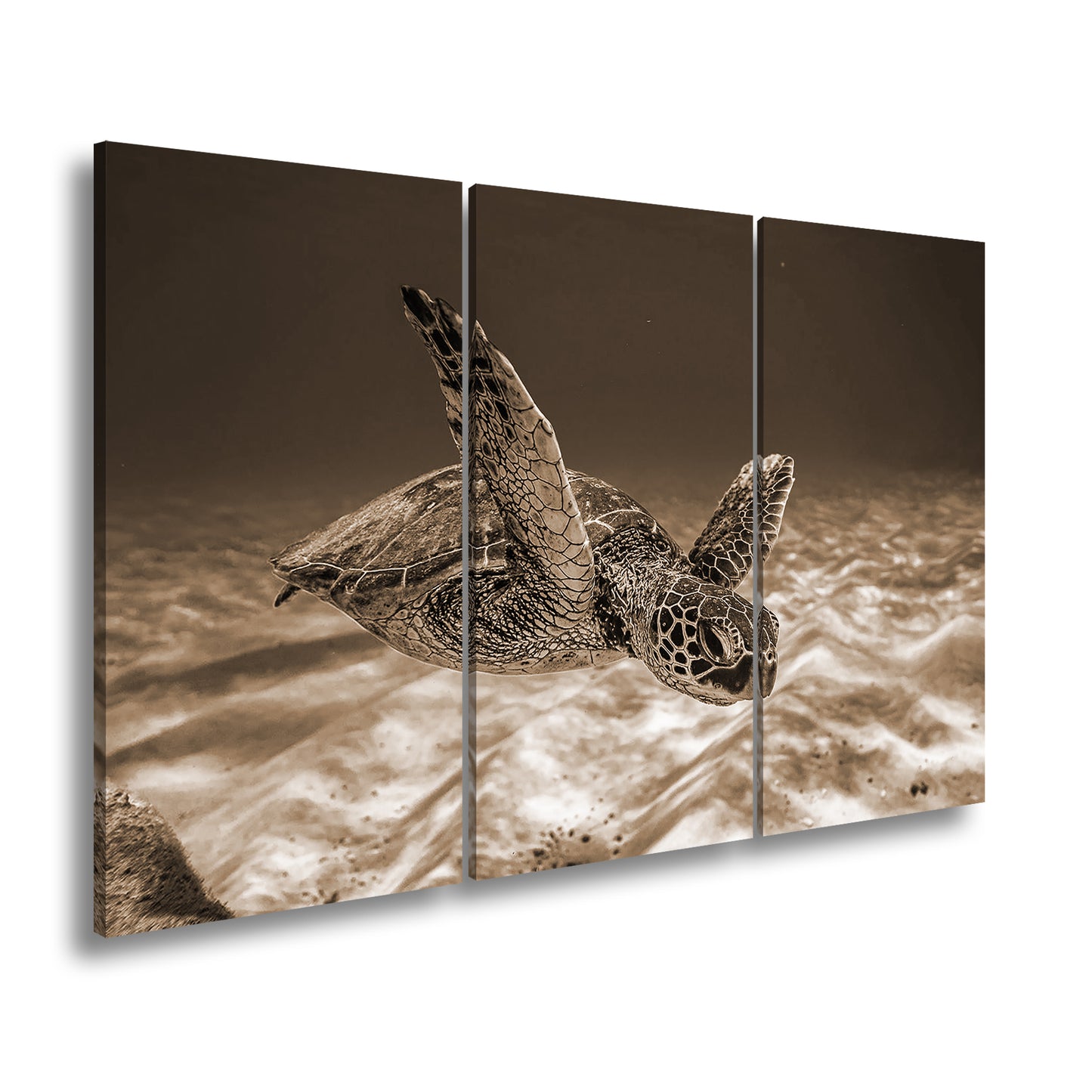 Hauptbild Sepia 3 Teilig