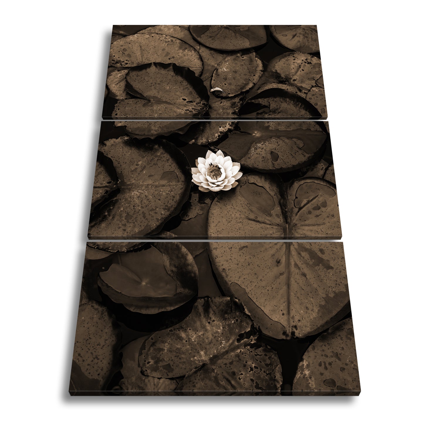 Hauptbild Sepia 3 Teilig