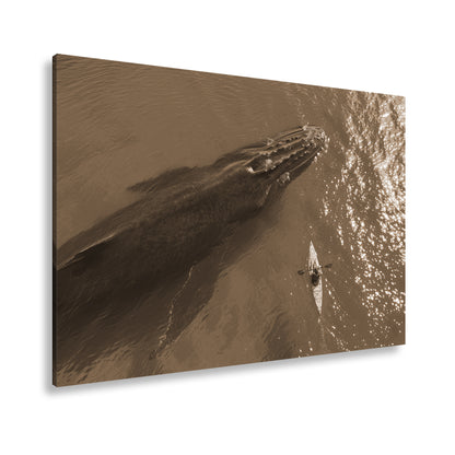 Hauptbild Sepia Standart