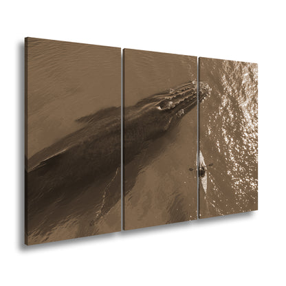 Hauptbild Sepia 3 Teilig