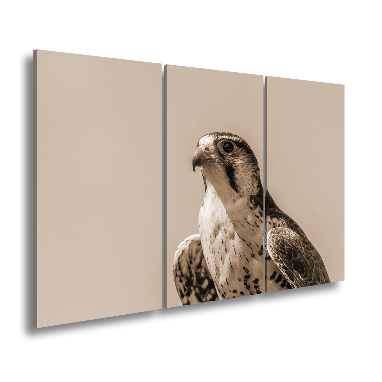 Hauptbild Sepia 3 Teilig