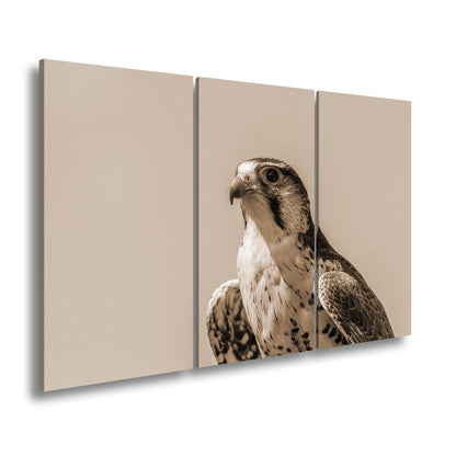 Hauptbild Sepia 3 Teilig