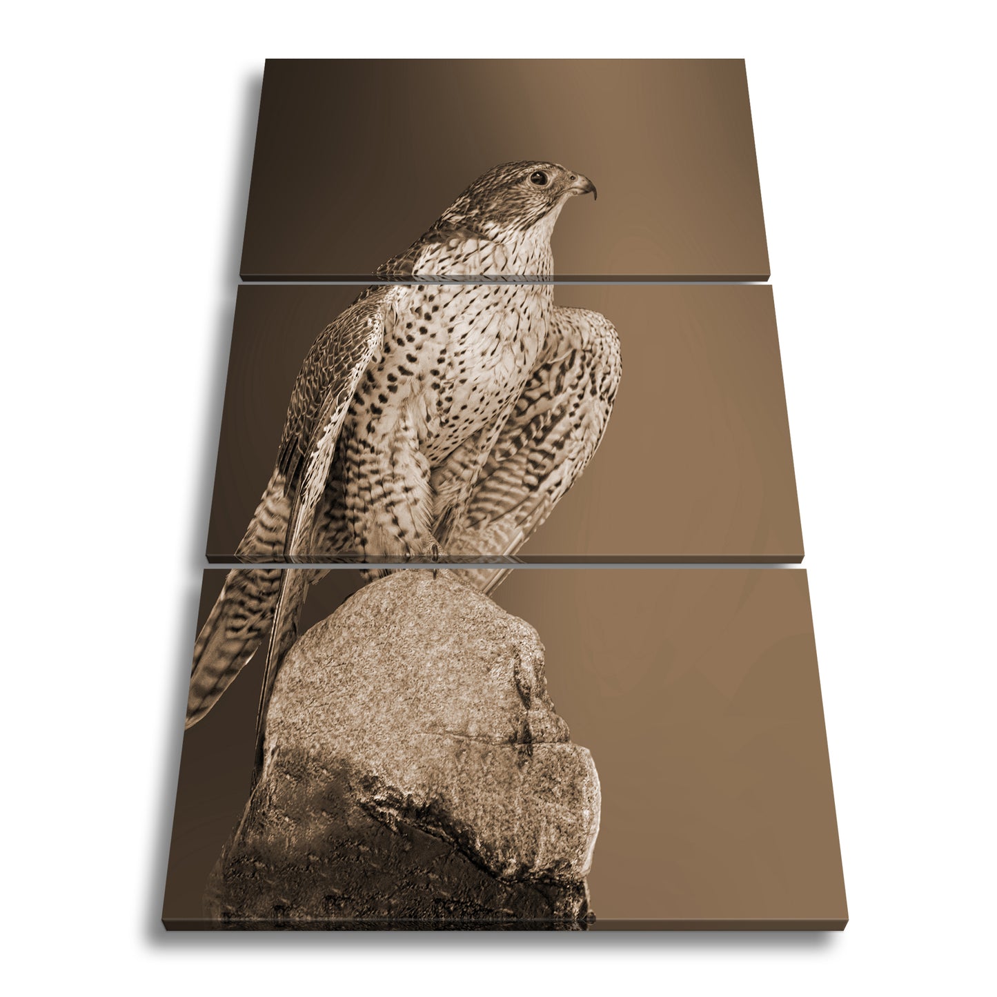 Hauptbild Sepia 3 Teilig