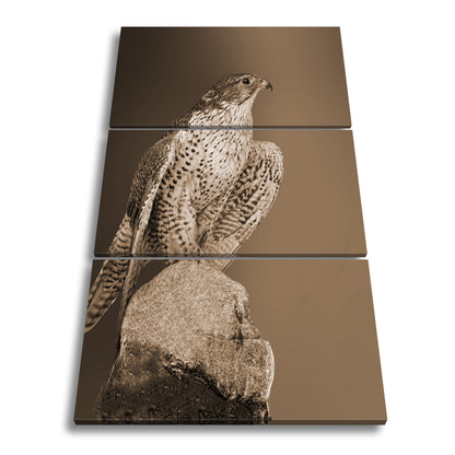 Hauptbild Sepia 3 Teilig