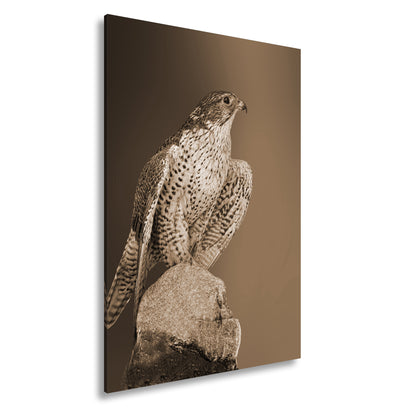 Hauptbild Sepia Standart