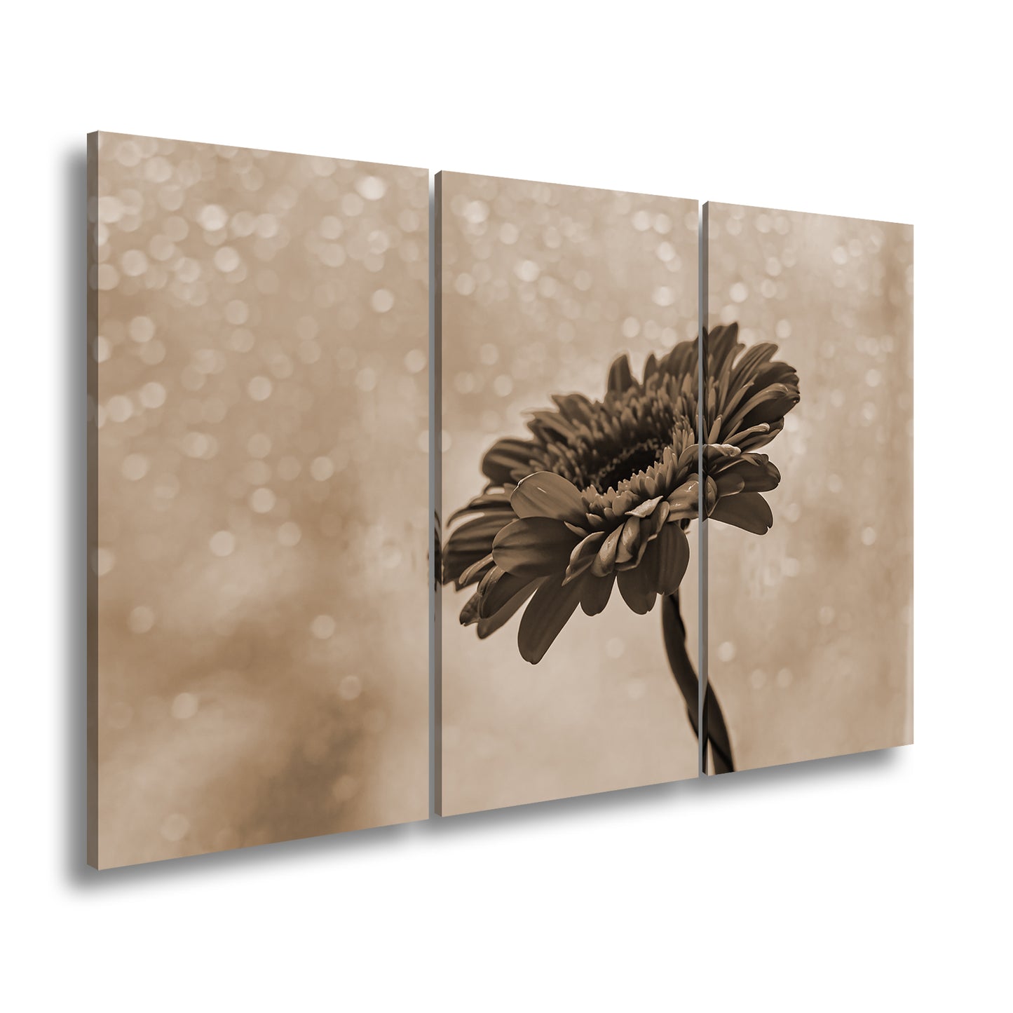 Hauptbild Sepia 3 Teilig