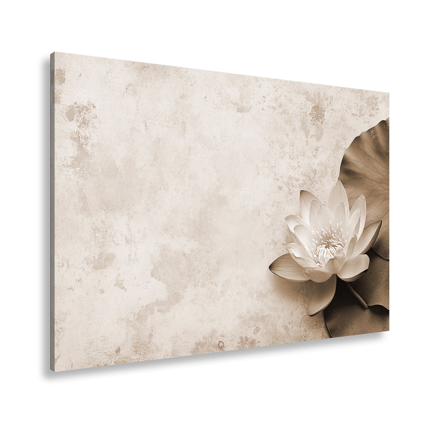 Hauptbild Sepia Standart