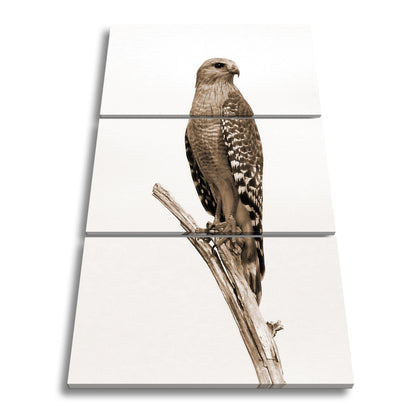 Hauptbild Sepia 3 Teilig