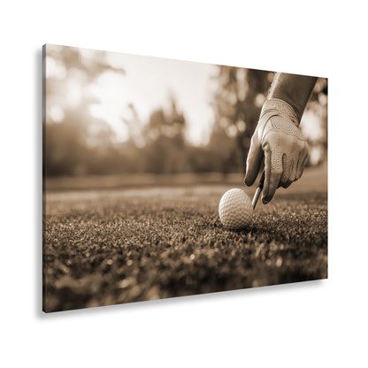 Hauptbild Sepia Standart