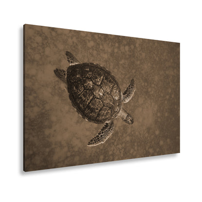 Hauptbild Sepia Standart