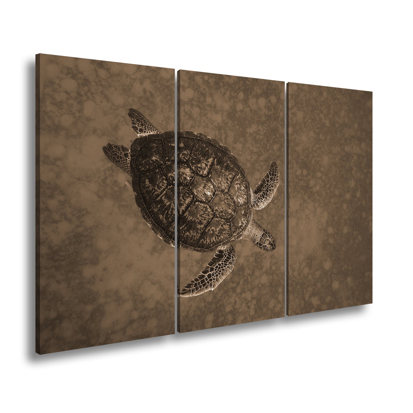 Hauptbild Sepia 3 Teilig