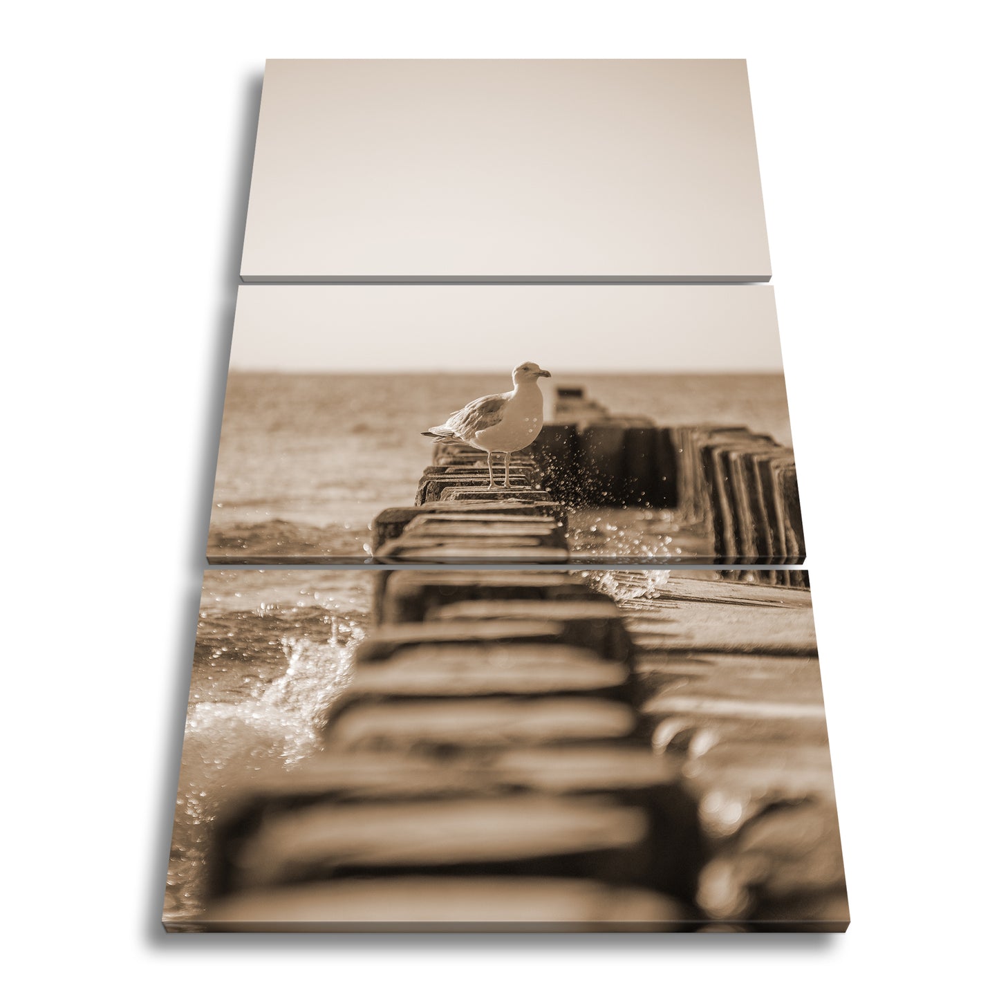 Hauptbild Sepia 3 Teilig