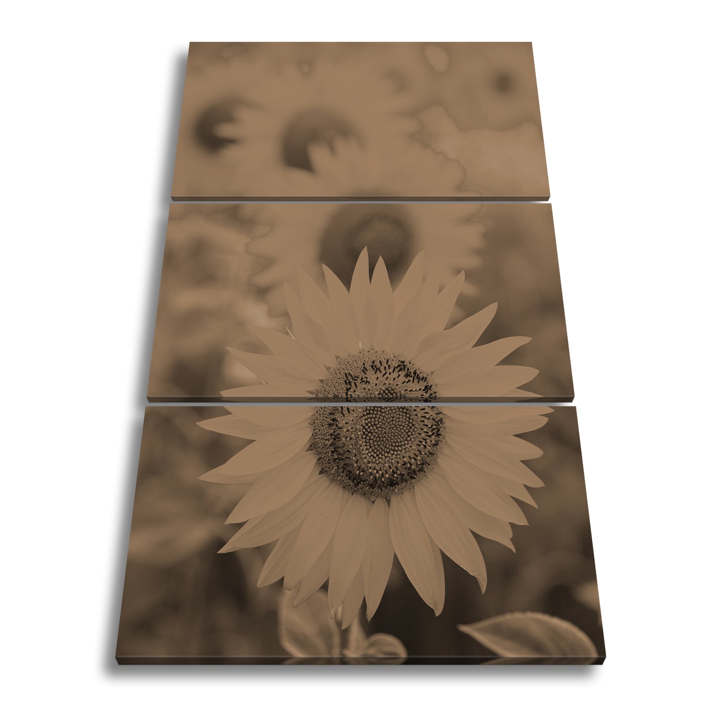 Hauptbild Sepia 3 Teilig