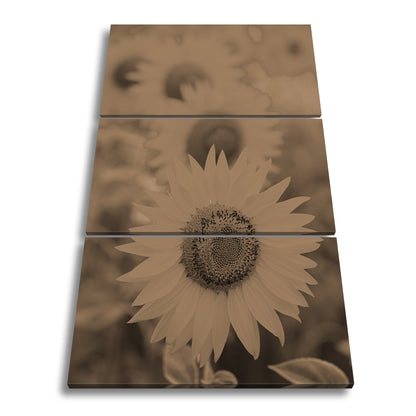 Hauptbild Sepia 3 Teilig