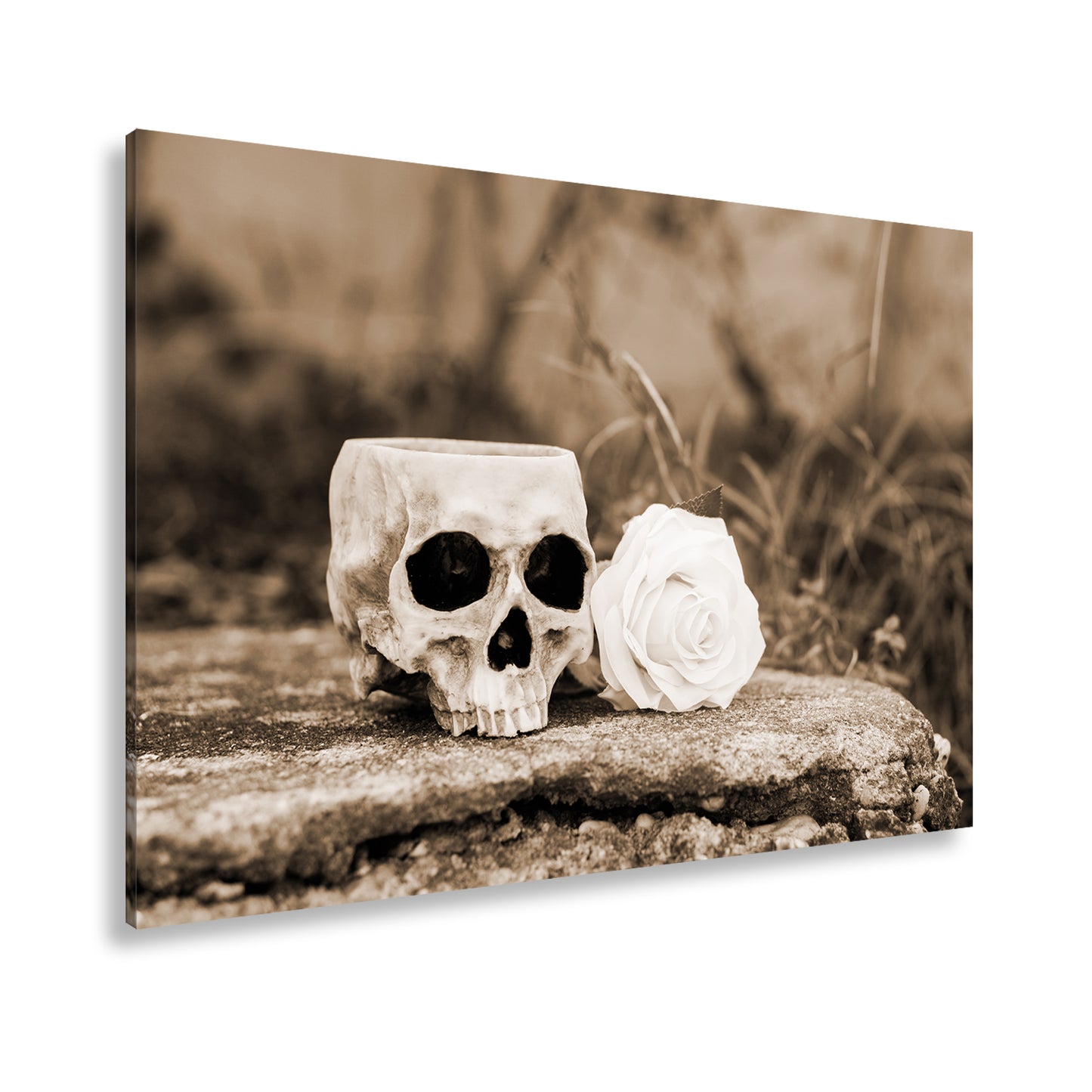 Hauptbild Sepia Standart