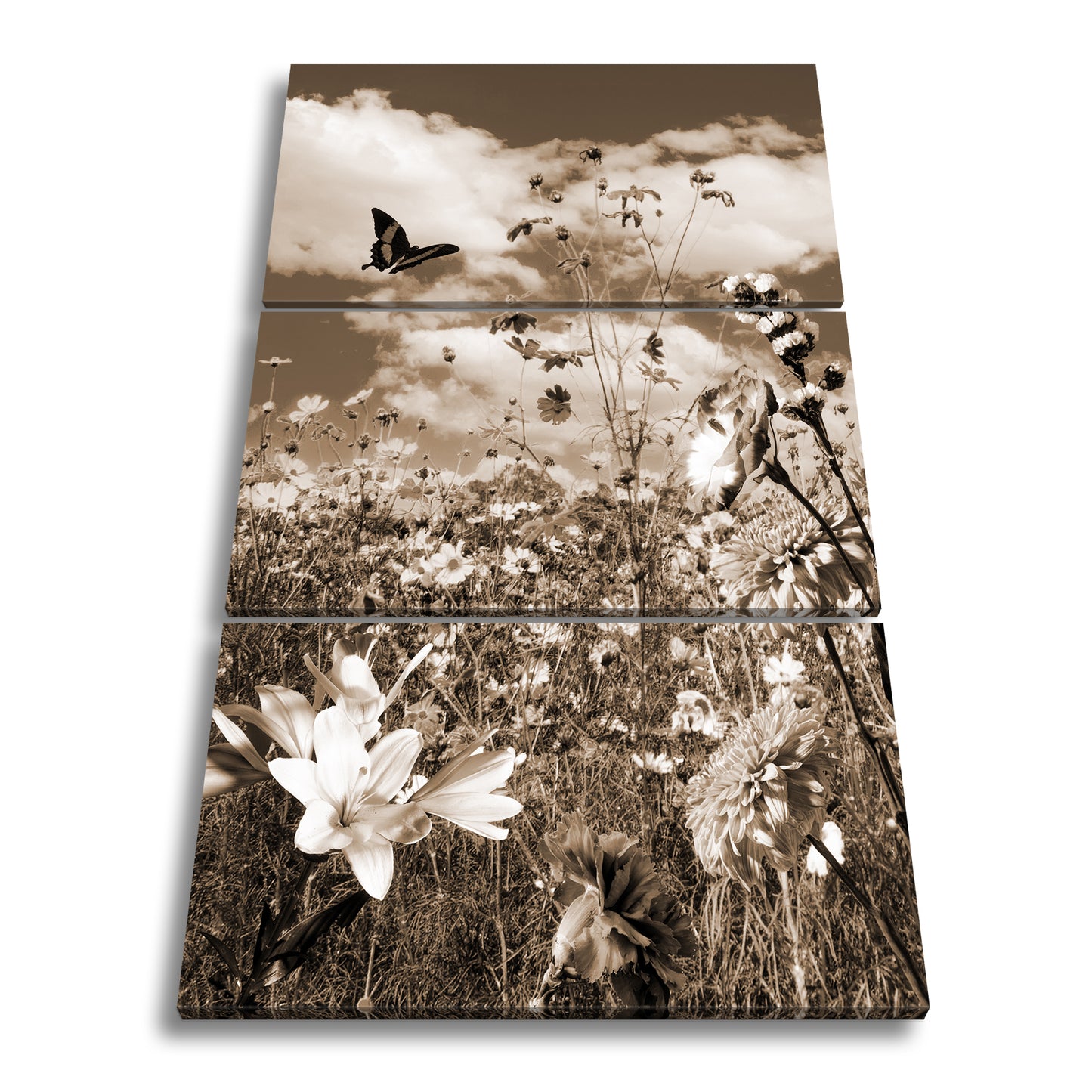 Hauptbild Sepia 3 Teilig