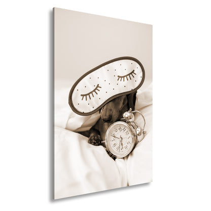 Hauptbild Sepia Standart