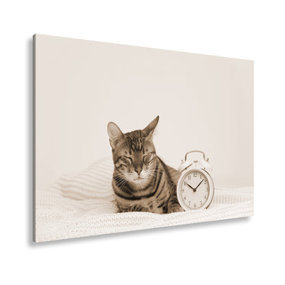 Hauptbild Sepia Standart