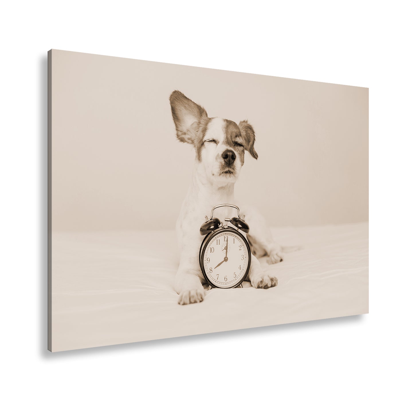 Hauptbild Sepia Standart
