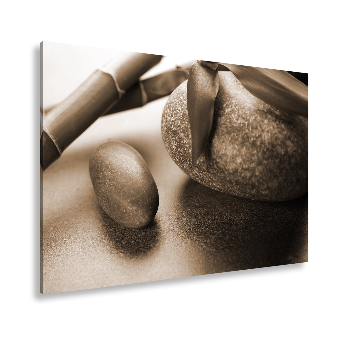 Hauptbild Sepia Standart