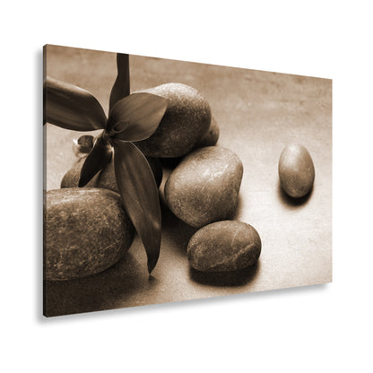 Hauptbild Sepia Standart