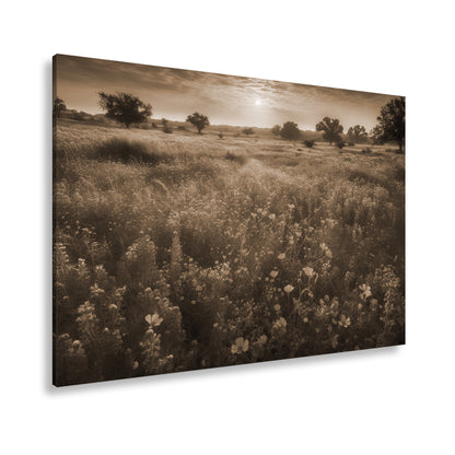 Hauptbild Sepia Standart