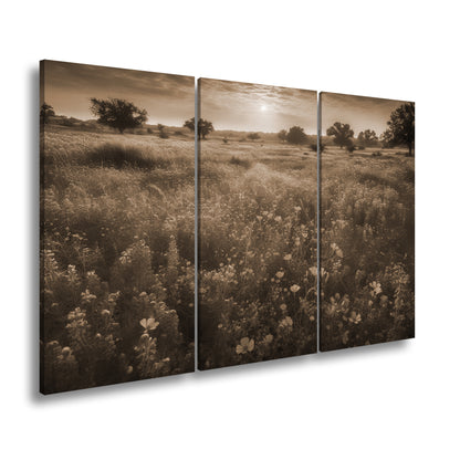 Hauptbild Sepia 3 Teilig