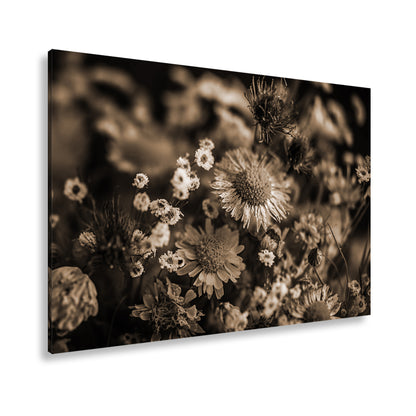 Hauptbild Sepia Standart