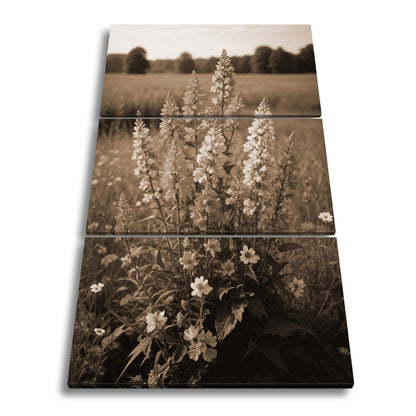 Hauptbild Sepia 3 Teilig