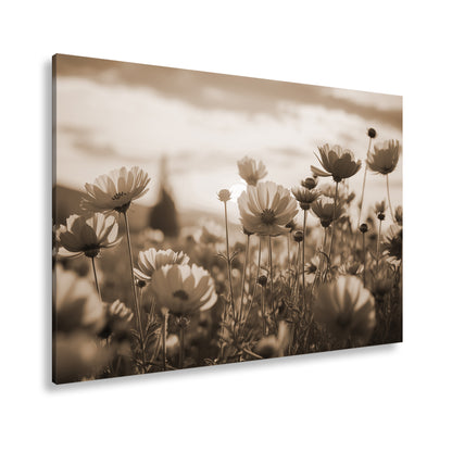Hauptbild Sepia Standart